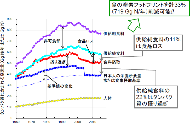 日本の食料供給・摂取に関わる窒素量の長期変遷(タンパク質の摂り過ぎと食品ロスの長期変遷)