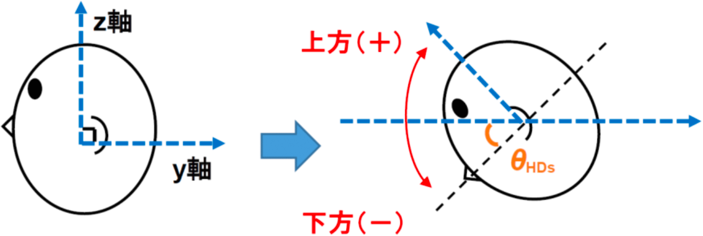 矢状面における頭部角度（θHDs）の定義