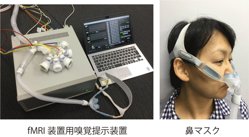 fMRI実験で使用した嗅覚提示装置