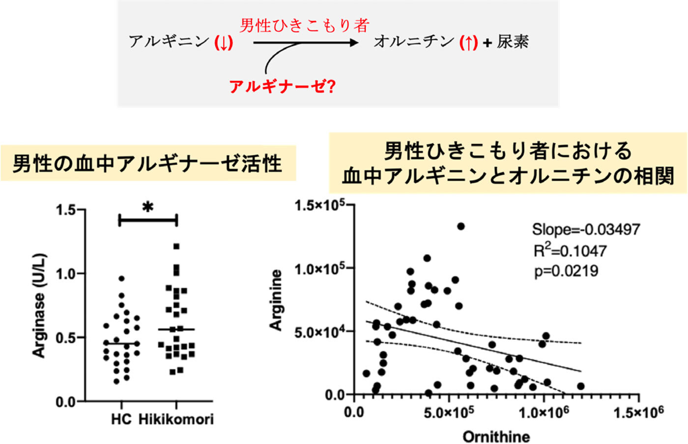 血中のアルギナーゼ活性の増加は男性のHikikomori患者を特徴づける血液指標である