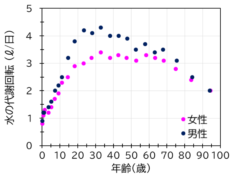 年齢と水の代謝回転との関係（性別の平均値）