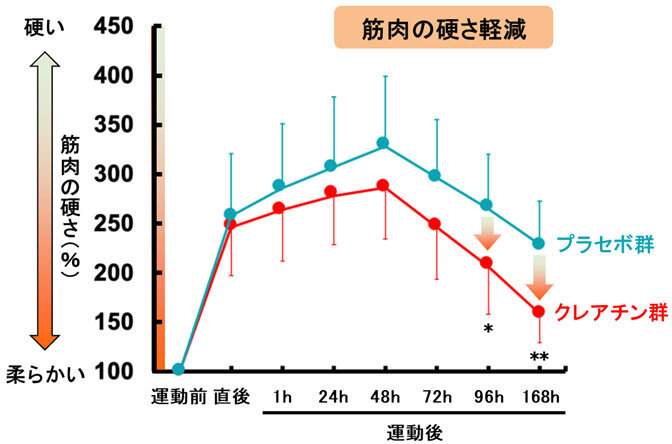 クレアチンを安全に摂取する