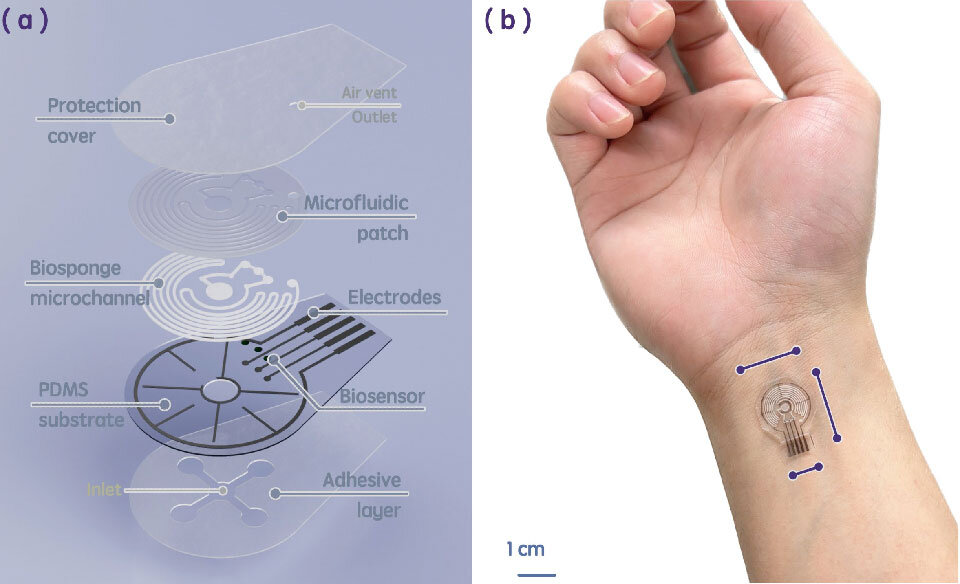 （ａ）超親水性スポンジ充填微小流路を特徴とする積層型ウェアラブルパッチの分解図。（ｂ）皮膚表面に張り付けた状態のパッチ。