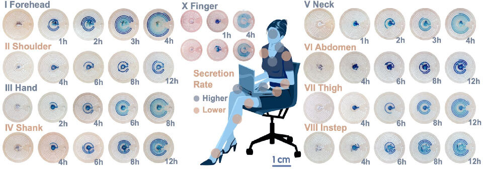 ヒトの発汗量を被験者のさまざまな部位にパッチを張り付けて測定した様子