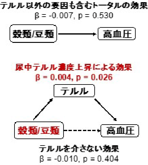 食物摂取頻度と尿中テルル濃度の関係性