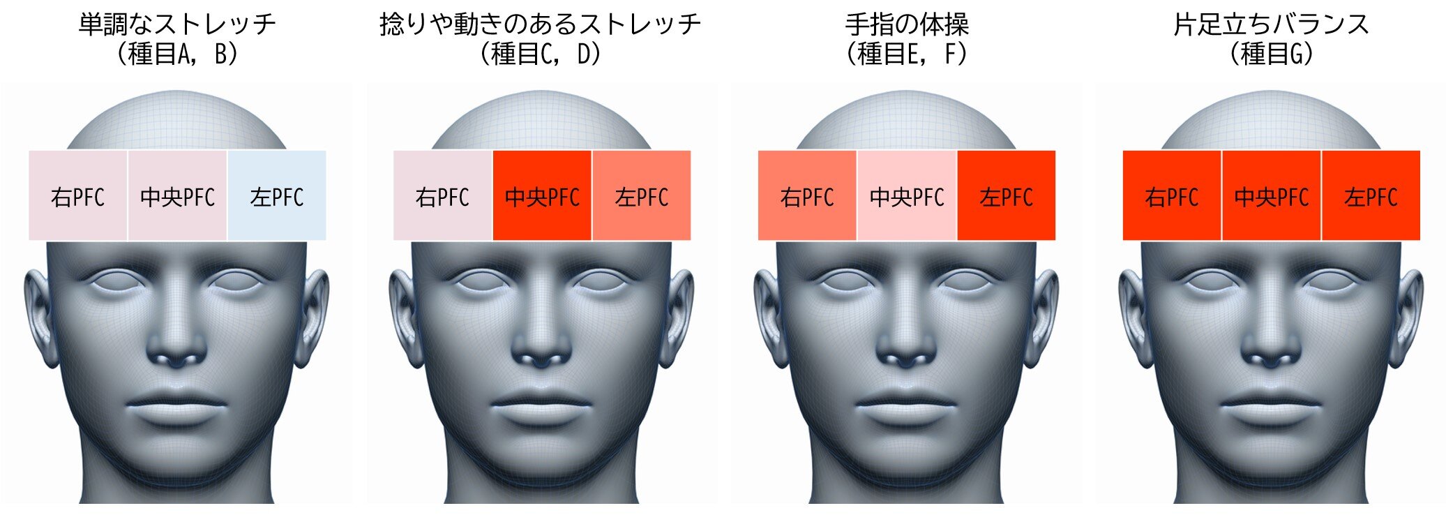 運動タイプごとの脳血流が増加した前頭前野（PFC）領域の割合