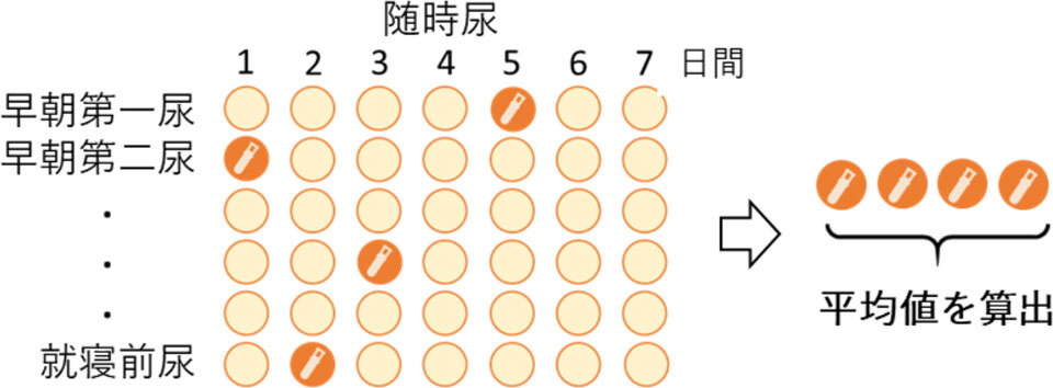 随時尿を用いた測定方法