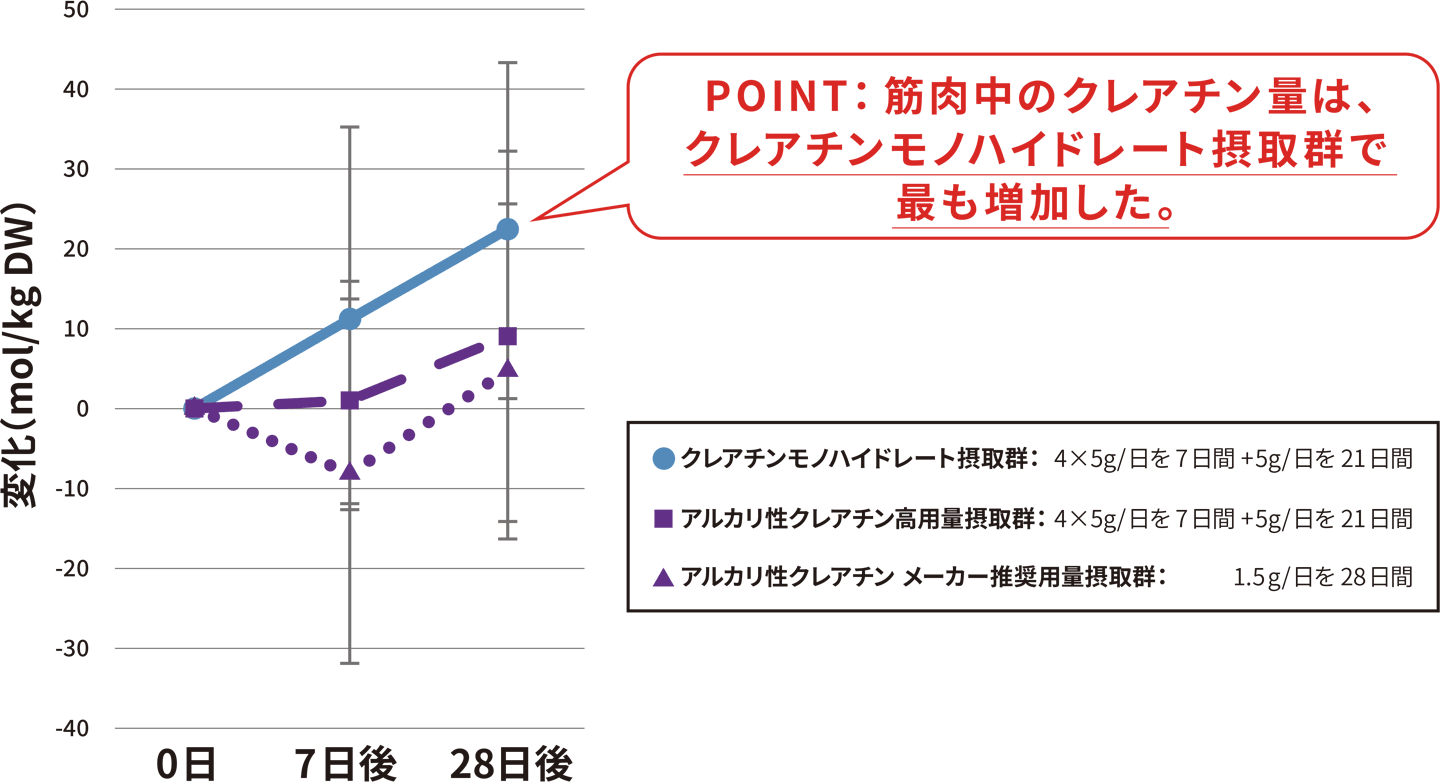 筋肉中のクレアチン量の変化