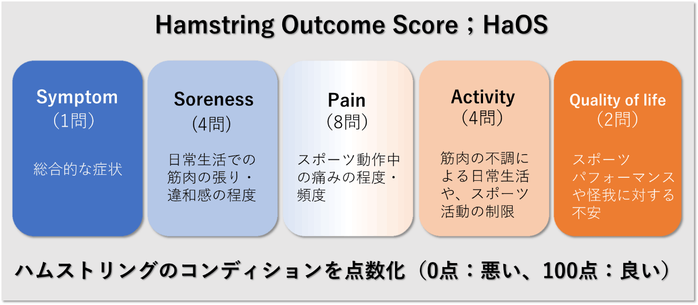 Hamstring outcome scoreの概要