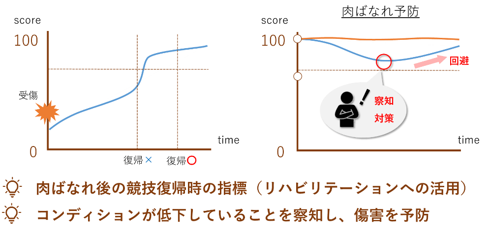 HaOSを用いた将来展望と有用性について