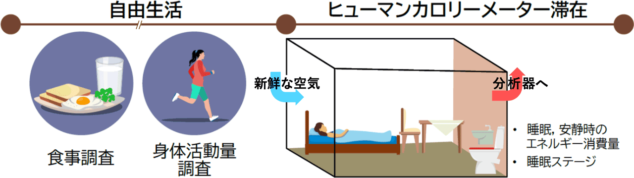 本研究で行なった実験の概要図