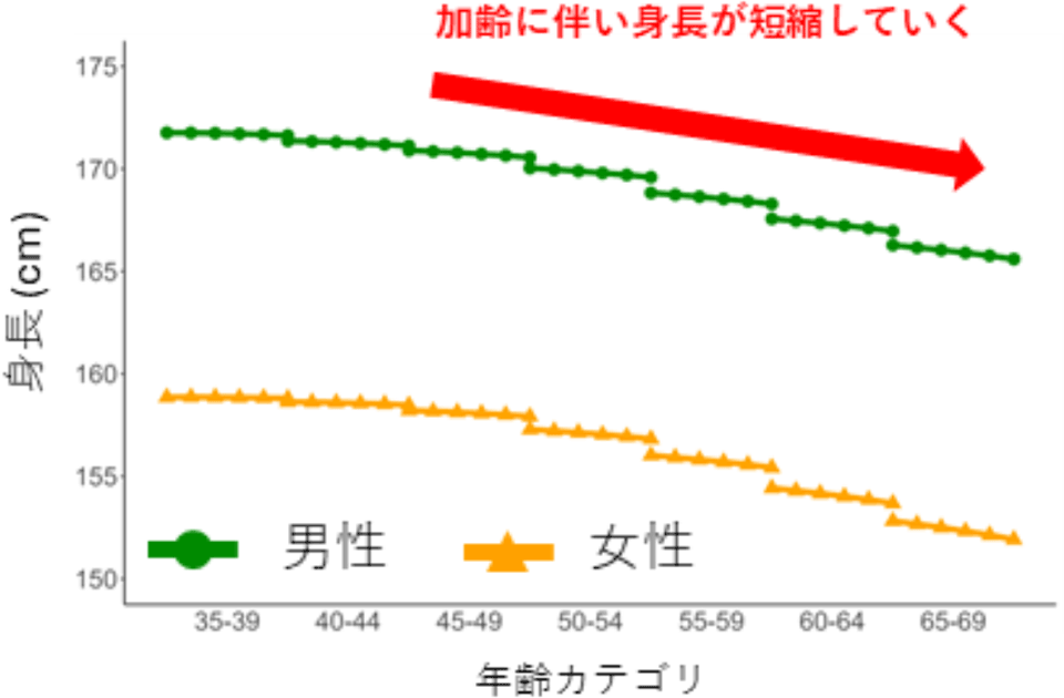 各年齢層における身長の推移