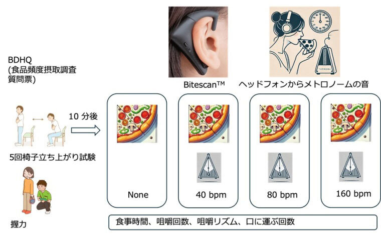 研究の工程