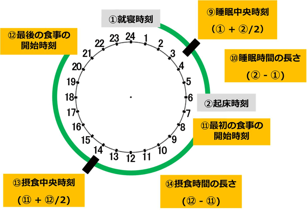 睡眠中央時刻、睡眠時間の長さ、摂食中央時刻、摂食時間の長さ