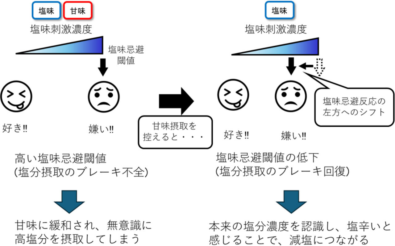 当研究から導かれる今後の展開　甘味を控えることで、本来の塩分濃度を認識する