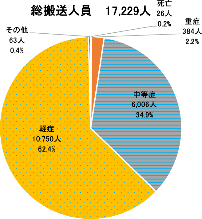 熱中症による救急搬送人員【初診時における傷病程度別（構成比）】