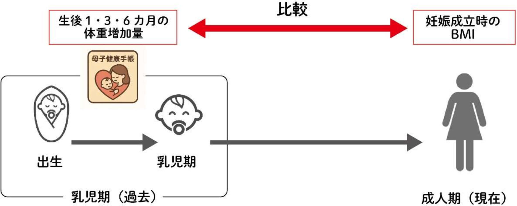 研究対象とした情報