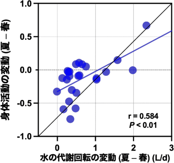高齢者における春と夏の水の代謝回転と身体活動との関連