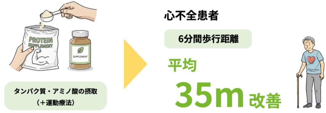 研究の概要