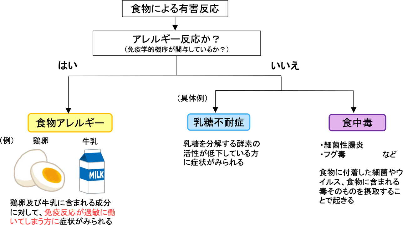 食物アレルギーとは? 内閣府が症状や原因食品を解説する新資料と動画を公開