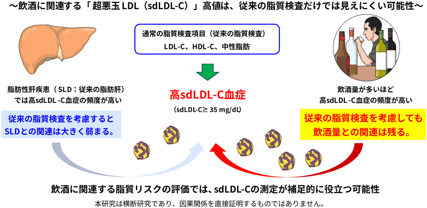 研究成果の概要