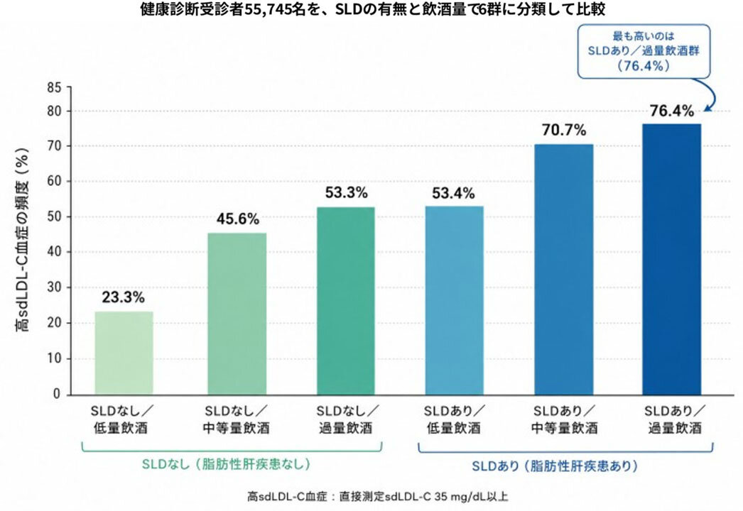脂肪性肝疾患(SLD)があり、飲酒量が多い群で高sd LDL-C血症の頻度が高い