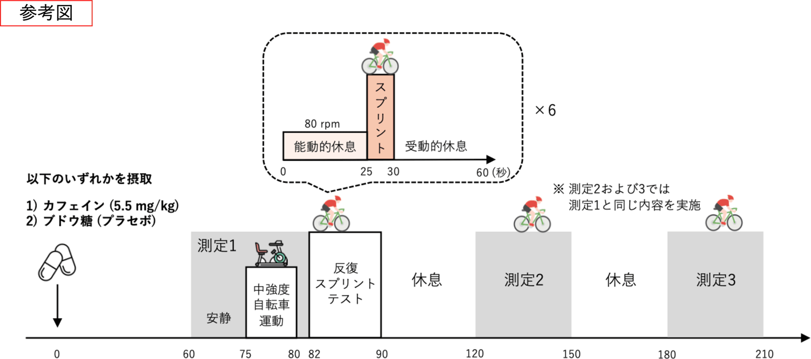 本研究の実験プロトコル