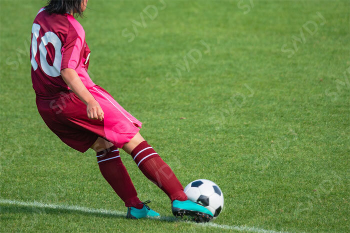 女子プロサッカー選手の練習中と試合中の消費エネルギーを把握し、適切な栄養摂取を