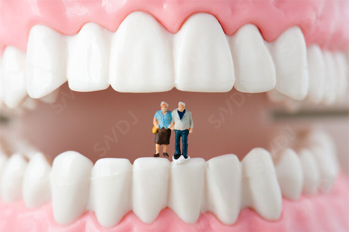 歯が少ない高齢者のタンパク質摂取の減少は、入れ歯などによる補綴装置で抑制できる可能性