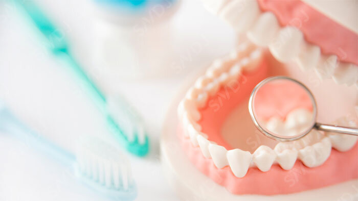 大学生アスリートの歯周病リスク25.8％、スポーツ関連の疼痛やQOLとの関連が明らかに